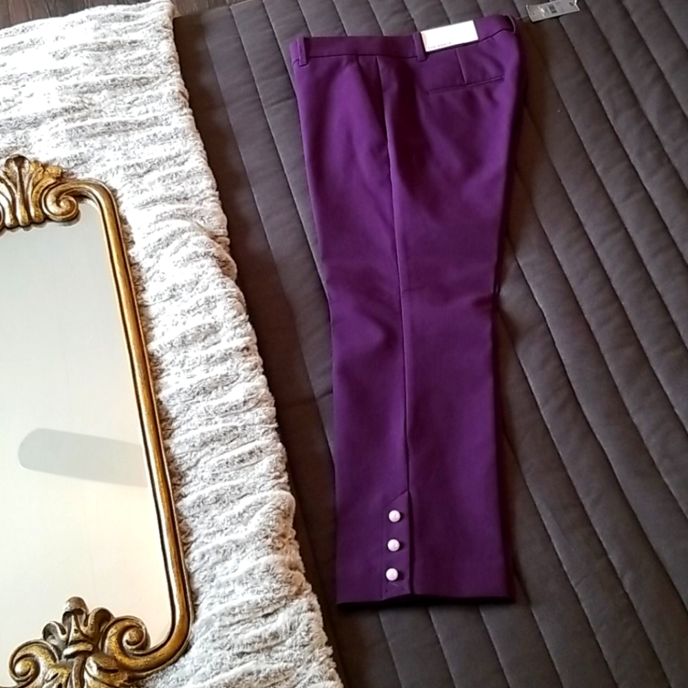 Plum ankle dress pants, petite, ann taylor